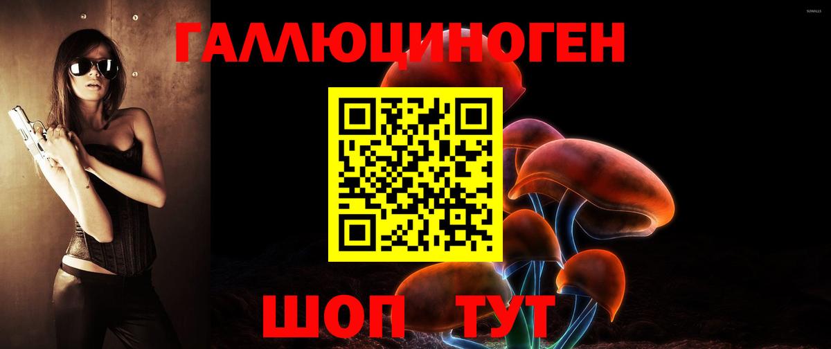 Реж  Галлюциногенные грибы Psilocybine cubensis  Вход с VPN 